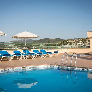 book here